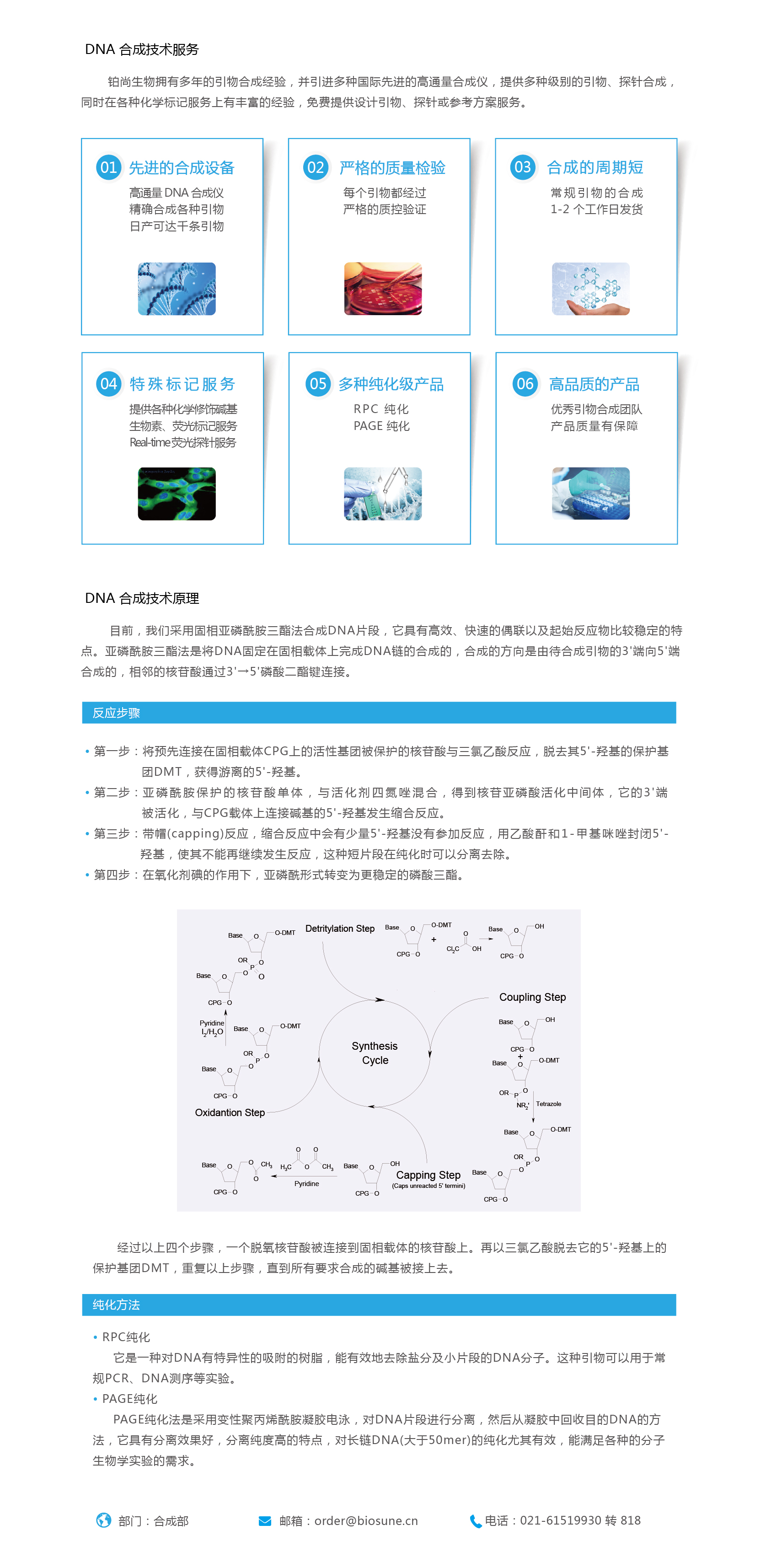 DNA 合成技術服務-01.jpg